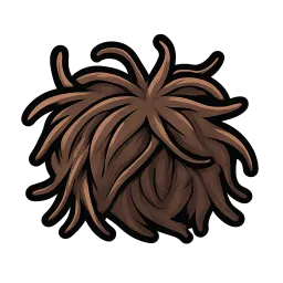 Coarse Tuft
