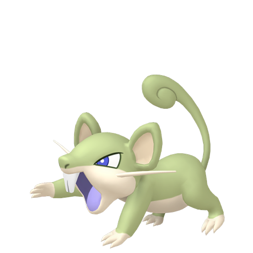 Shiny Rattata