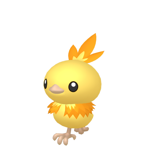 Shiny Torchic