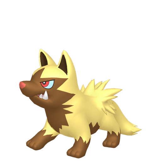 Shiny Poochyena