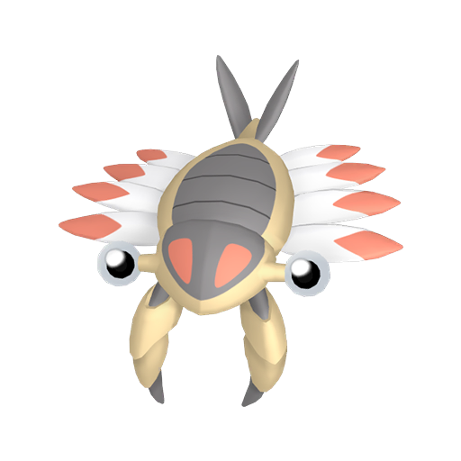 Shiny Anorith