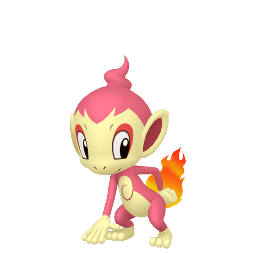 Shiny Chimchar