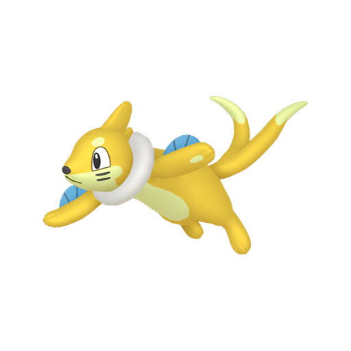 Shiny Buizel