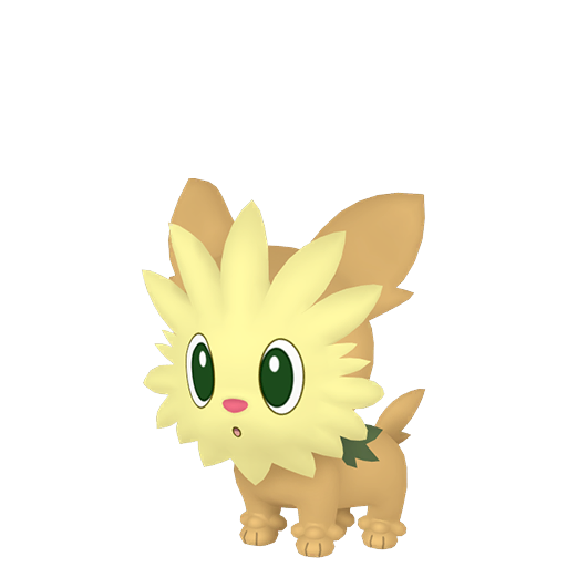 Shiny Lillipup