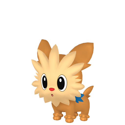 Lillipup