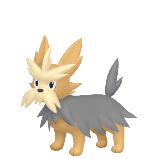 Shiny Herdier