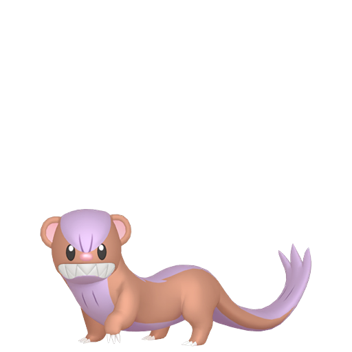 Shiny Yungoos