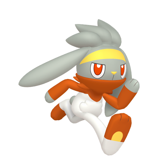 Shiny Raboot
